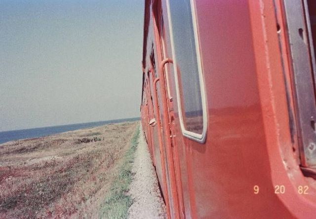 1650310336639.jpg