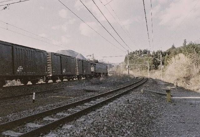 1658170600922.jpg